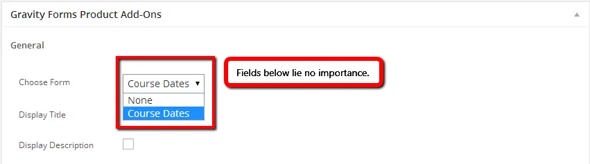 WooCommerce Gravity Forms Add-ons custom field
