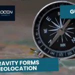 Gravity Forms Geolocation