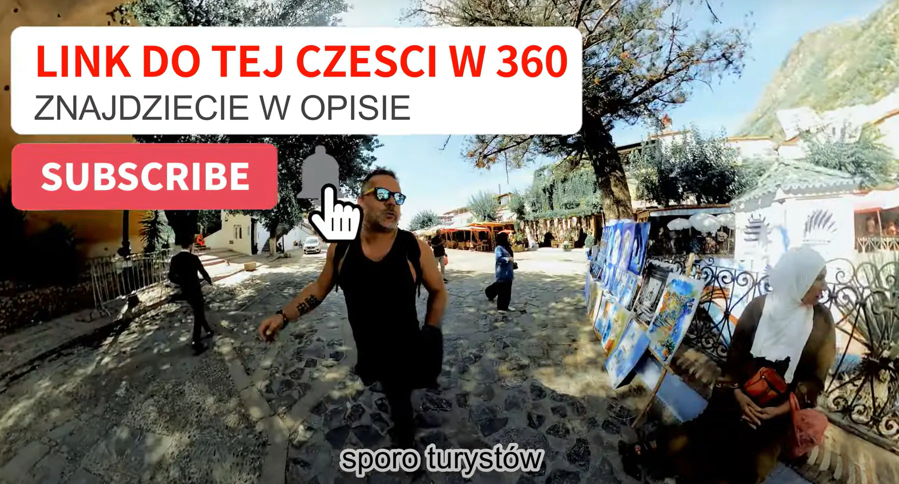 Video Subtitles